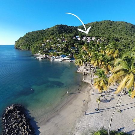 Отель Oasis Marigot Экстерьер фото